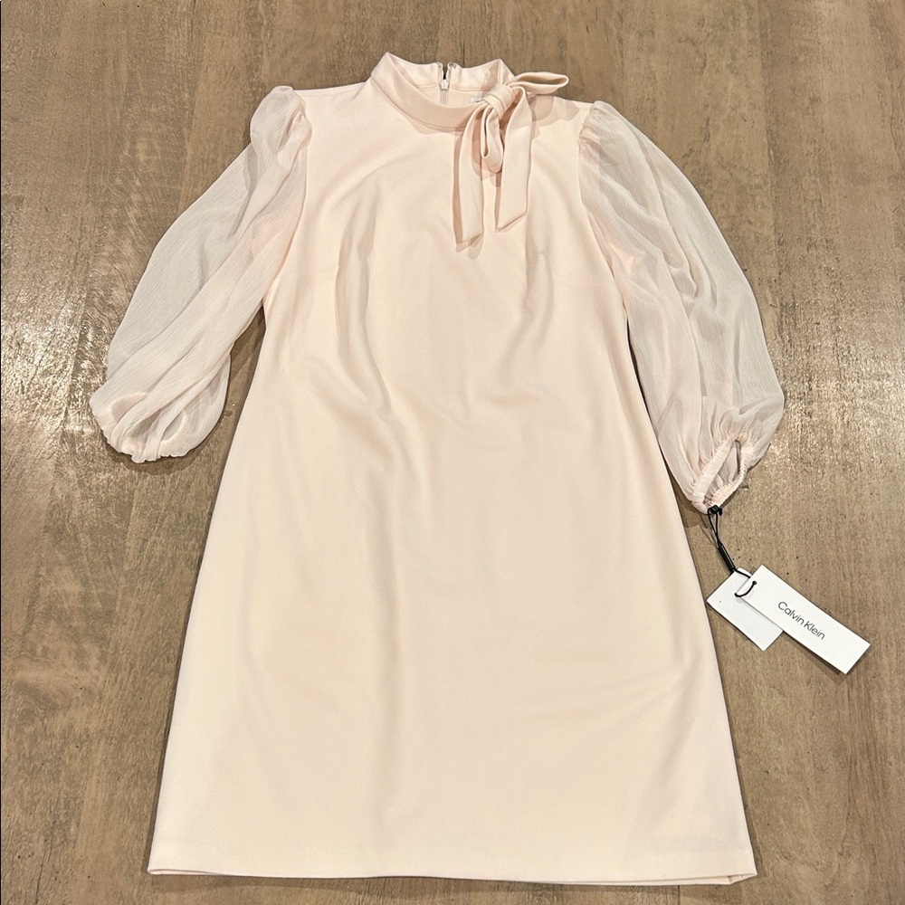 Calvin Klein Women's Soft Pink Dress with Sheer Sleeves